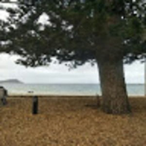 Meet your Posher, Jess